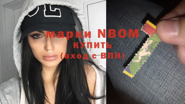шишки Надым