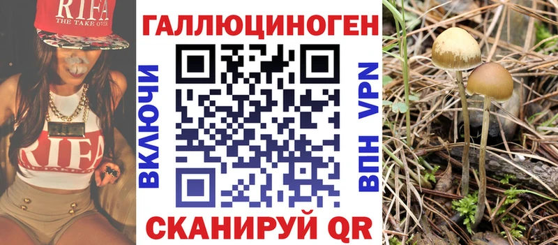 купить   MEGA как зайти  Псилоцибиновые грибы GOLDEN TEACHER  Хабаровск 